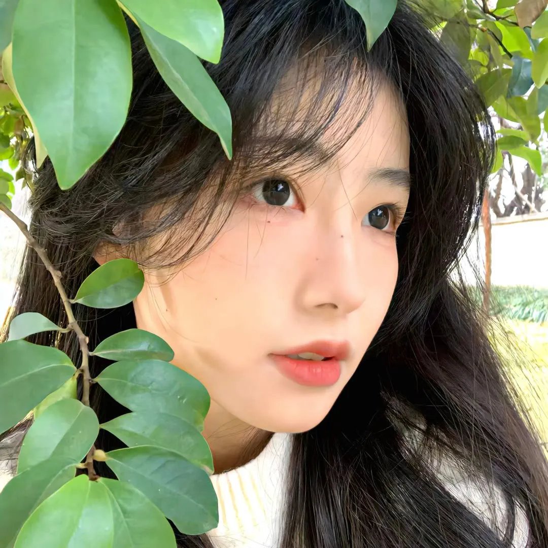 虫师 铃之滴